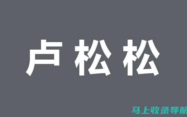 网站站长收入全解析：流量变现的秘诀