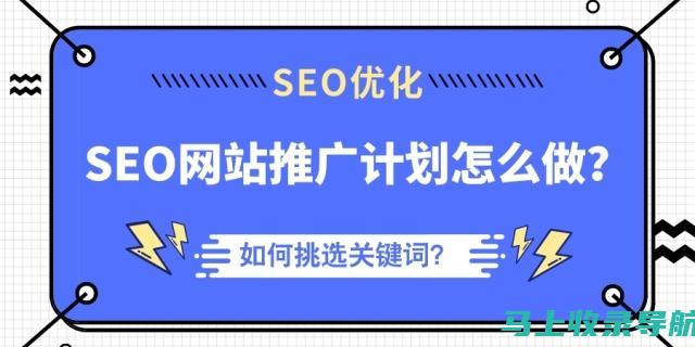 站长如何提升网站收益：一场关于收入优化的深度交流